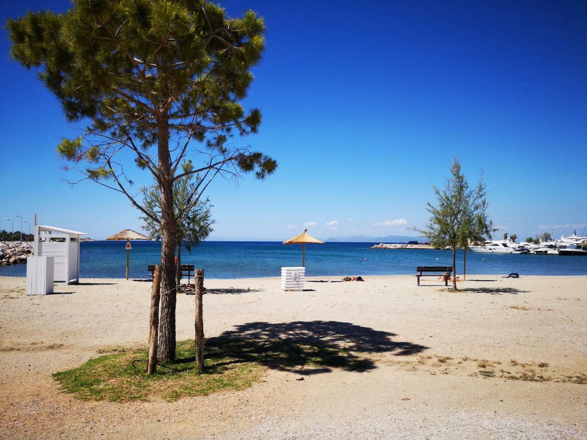 Sea&Sun Glyfada Apartment Athen Eksteriør billede